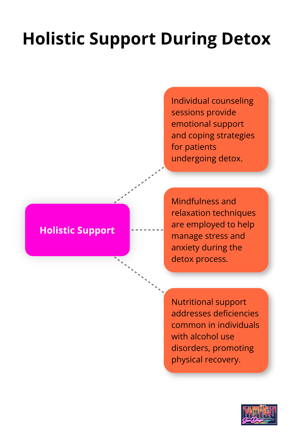Hub and spoke chart showing holistic support methods during detox at Amity San Diego - alcohol detox